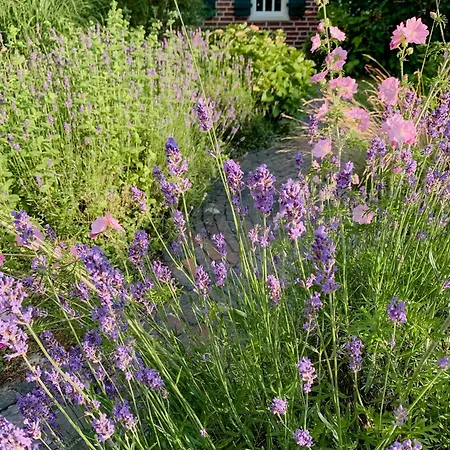 Rural Retreat With Garden In The Wendland Region Dom wakacyjny *